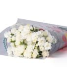  Hoa Cẩm Chướng Chùm - Hoa Cắt Cành 