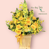  Sun Flower - HCH16 