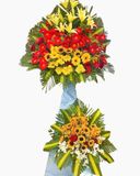  Lẵng Hoa Khai Trương Đại Lợi - HCM07 