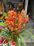  Bình Hoa Địa Lan Cam Lửa - HCB71 