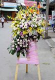  Kệ Hoa Spectacular - GT23 