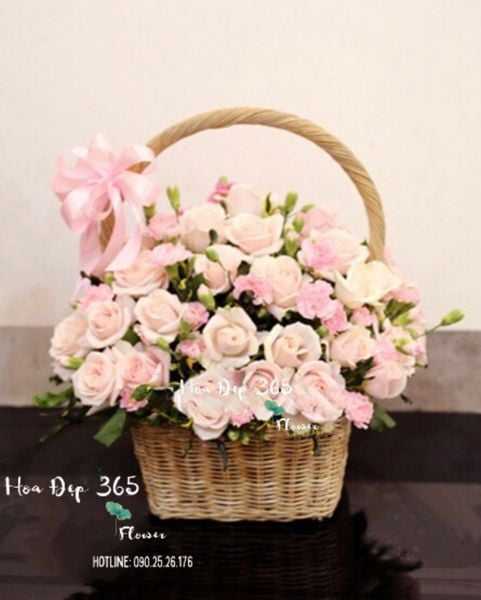  Giỏ Hoa Cẩm Chướng Hồng - HG21- Hoa tặng mẹ 