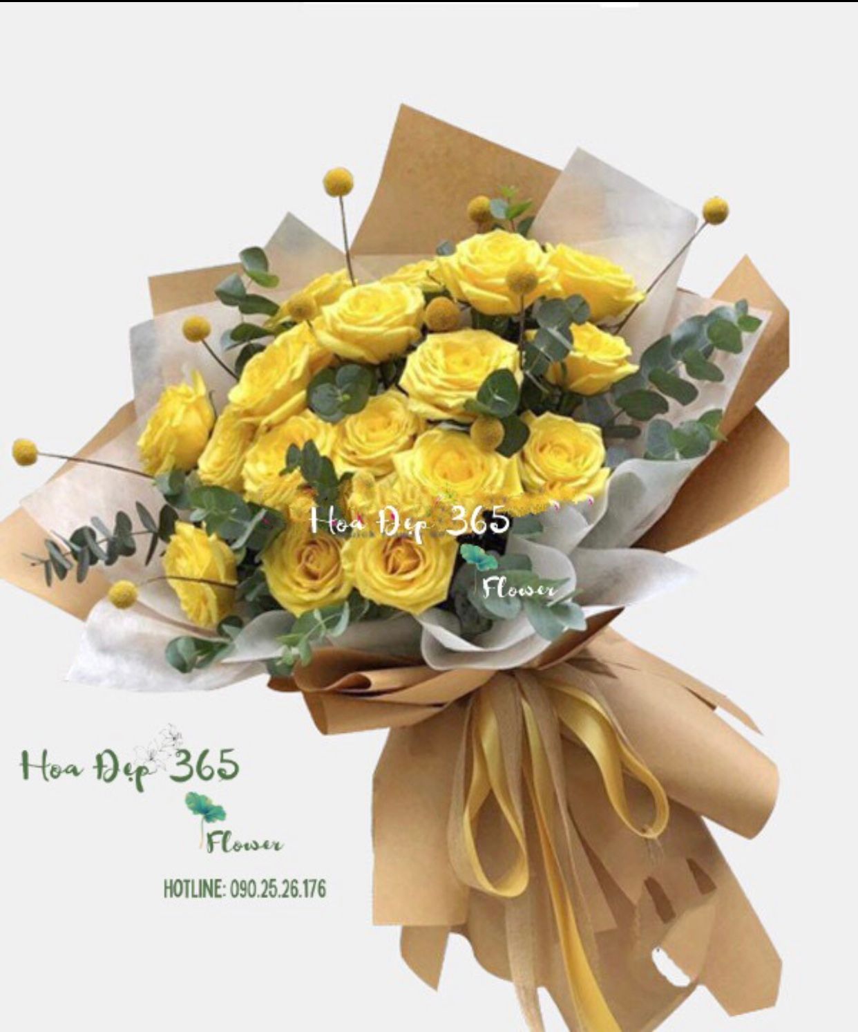  Ngày May Mắn - HBD220 