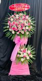  Kệ Hoa Khai Trương The Charming  - HCM66 