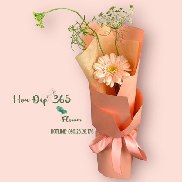  Bonjour - HBD67 - Bó hoa tươi 