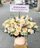  Time Love - HCH33 - Hoa Hồng 20/10 
