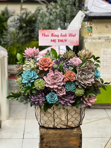 Giỏ Hoa Sen Đá - HG62 tặng quà cho sếp nữ để thể hiện sự tinh tế