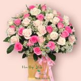  Xinh Tươi - HCH69 - Hoa Hồng 20/10 - Hoa Hồng Pastel, Hoa Hồng Sen và Hoa Ami 