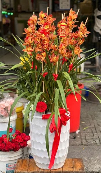 Bình Hoa Địa Lan Cam Lửa