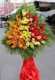  Kệ Hoa Sự Nghiệp Thành Công - HCM22 