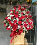  Hộp Hoa Bùng Cháy - HCH99 