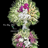  Tạ Từ - HTL75 - Vòng Hoa Tang Lễ 