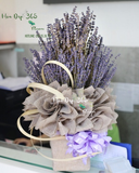  Hộp Hoa Lavender Giản Dị - LVD05 