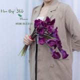  Bó Hoa Cưới Cầm Tay I Wanna Grow Old With You - HC41 