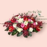  Hoa Để Bàn - Ovan 17 