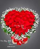  Sincere Heart - HG56 