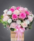  Nụ Hồng Mong Manh - HCH70 - Hoa Sinh Nhật 