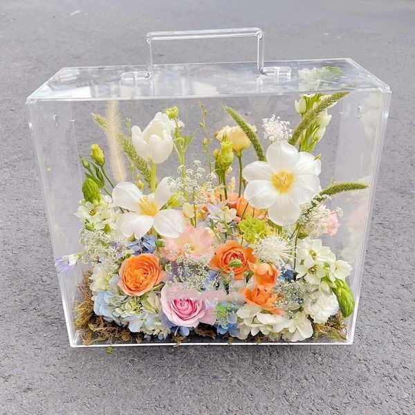 Hộp Hoa Mica Brightly - HMC04