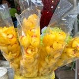  Hoa Địa Lan - Hoa Tươi Cắt Cành Giao 2H Tại TP.HCM 