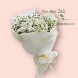  Bó Hoa Cúc Hoạ Mi - HBT52 - Hoa Tươi 