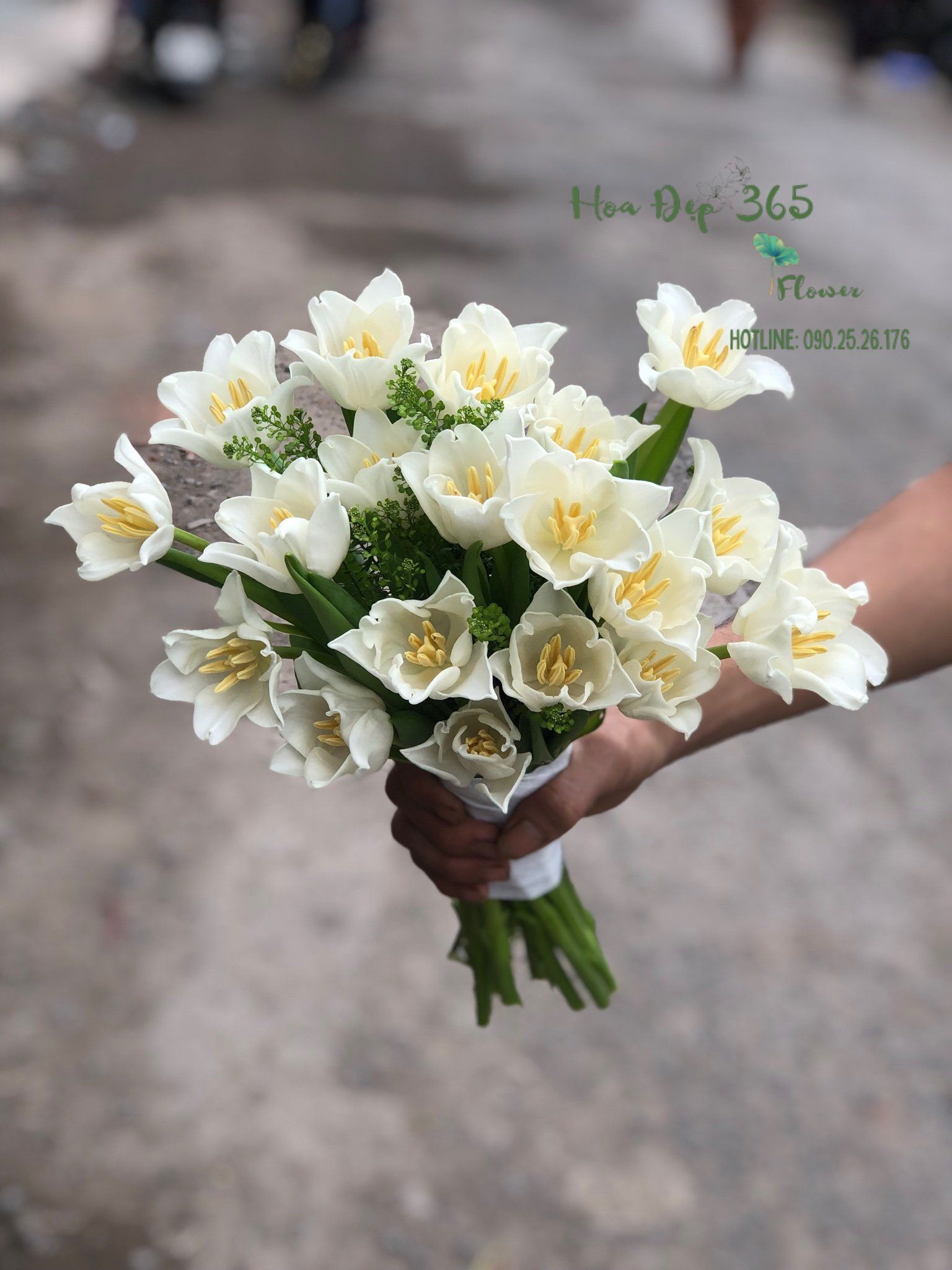  Bó Hoa Cưới Cầm Tay Tulip Trắng - HC29 