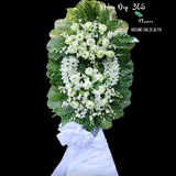 Thanh Tịnh - HTL42 - Vòng Hoa Đám Tang 