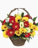  Giỏ Hoa Đồng Tiền Mừng Khai Trương - HG23 