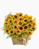  Giỏ Hoa Khai Trương Để Bàn Ánh Dương - HG57 