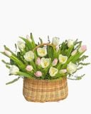  Giỏ Hoa Tươi Tulip Mix Màu - HG63 
