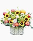  Giỏ Trái Cây Khai Trương Lộc Phát An Khang - GTC145 