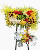  Kệ Hoa Golden Times - GT18 