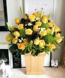  Hộp Hoa Khai Trương Để Bàn La Vie En - HCH44 