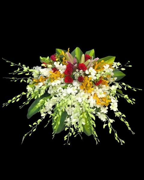 Hoa Bục Phát Biểu Khát Vọng Thành Công