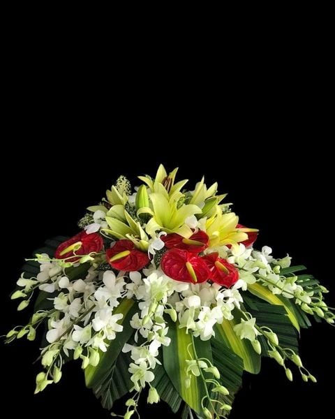 Hoa Bục Phát Biểu Rạng Rỡ Khai Màn