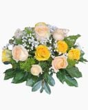  Hoa Để Bàn Ánh Dương Hội Tụ - Ovan 24 