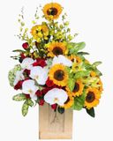  Hộp Hoa Hi Vọng ​​​​​​​- HCH45 