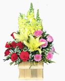  Hộp Hoa Ao Ước - HCH22 