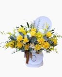  Hộp Hoa Địa Lan Gold Love - HH23 