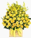  Hộp Hoa Hồng Vàng - HCH109 