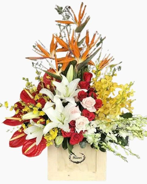 Hộp Hoa Light In The Morning