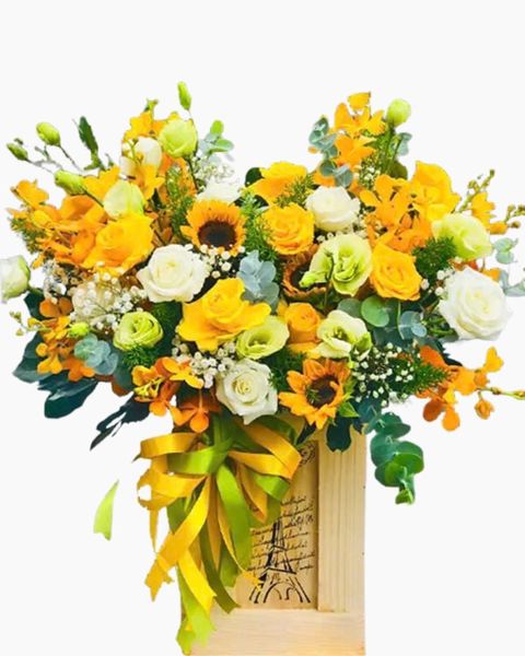 Hộp Hoa Sức Trẻ