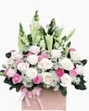  Hộp Hoa Khai Trương Để Bàn Hương Gió - HCH01 