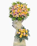  Kệ Hoa Khai Trương Chuyện Của Nắng - HCM55 