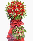  Kệ Hoa Khai Trương Perfection - HCM60 