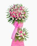  Kệ Hoa Khai Trương The Charming  - HCM66 