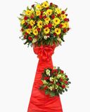  Lẵng Hoa Khởi Đầu Thuận Lợi - HCM42 