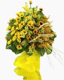  Kệ Hoa Khúc Ca Mê Ly - HCM24 