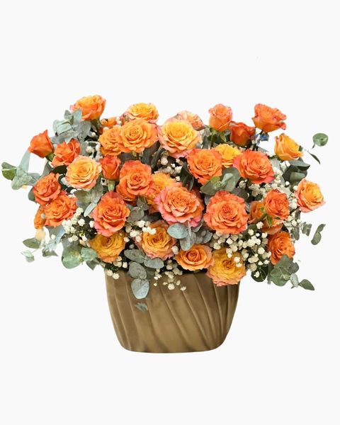 Hộp Hoa Hồng Cam Lady