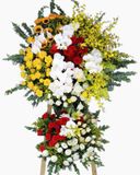  Kệ Hoa Lavish Lustre - GT14 