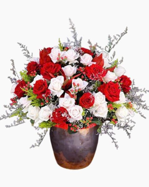 Bình Hoa Luxury Vase